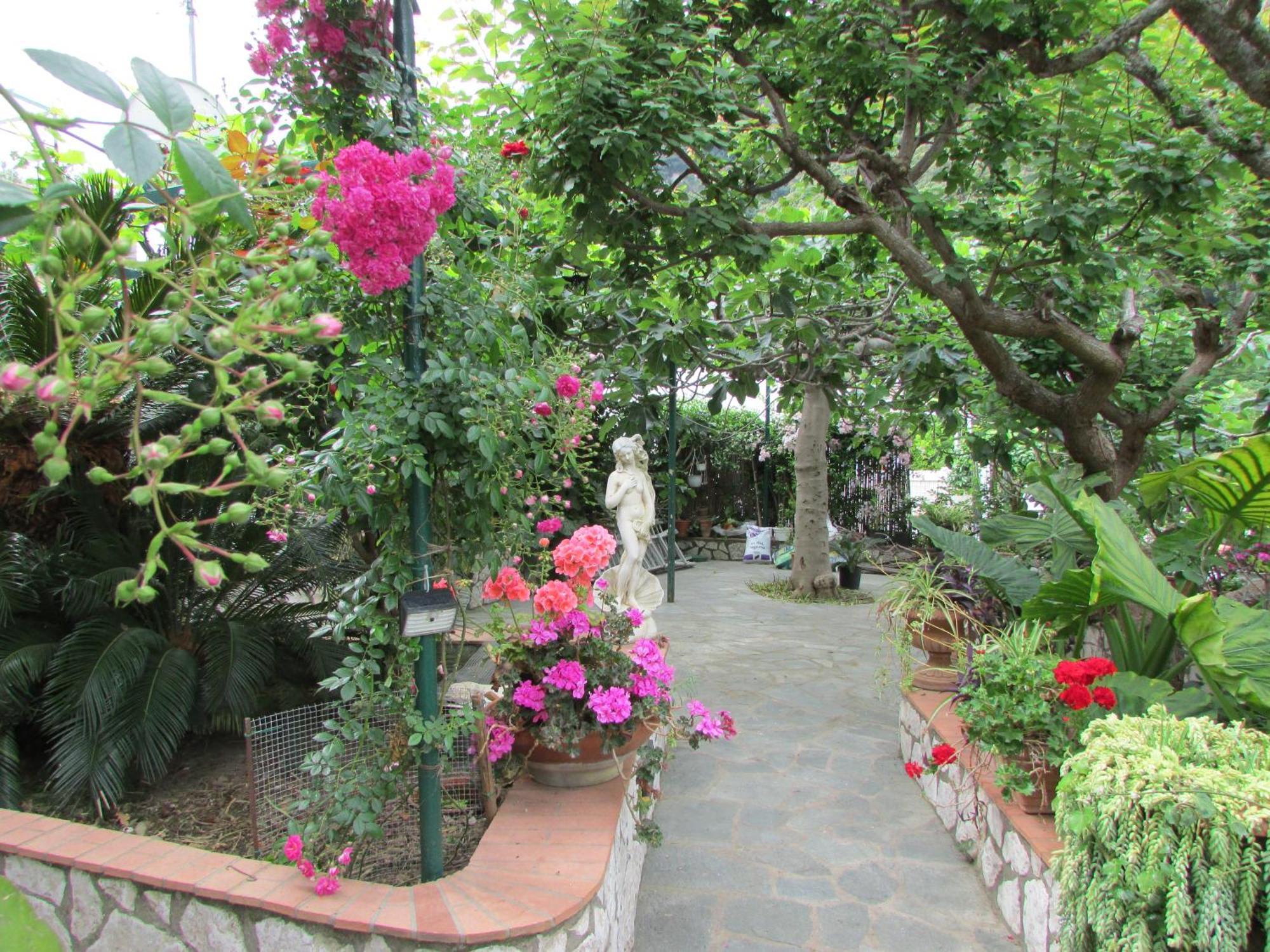 B&B Palazzo A Mare Capri Exteriör bild