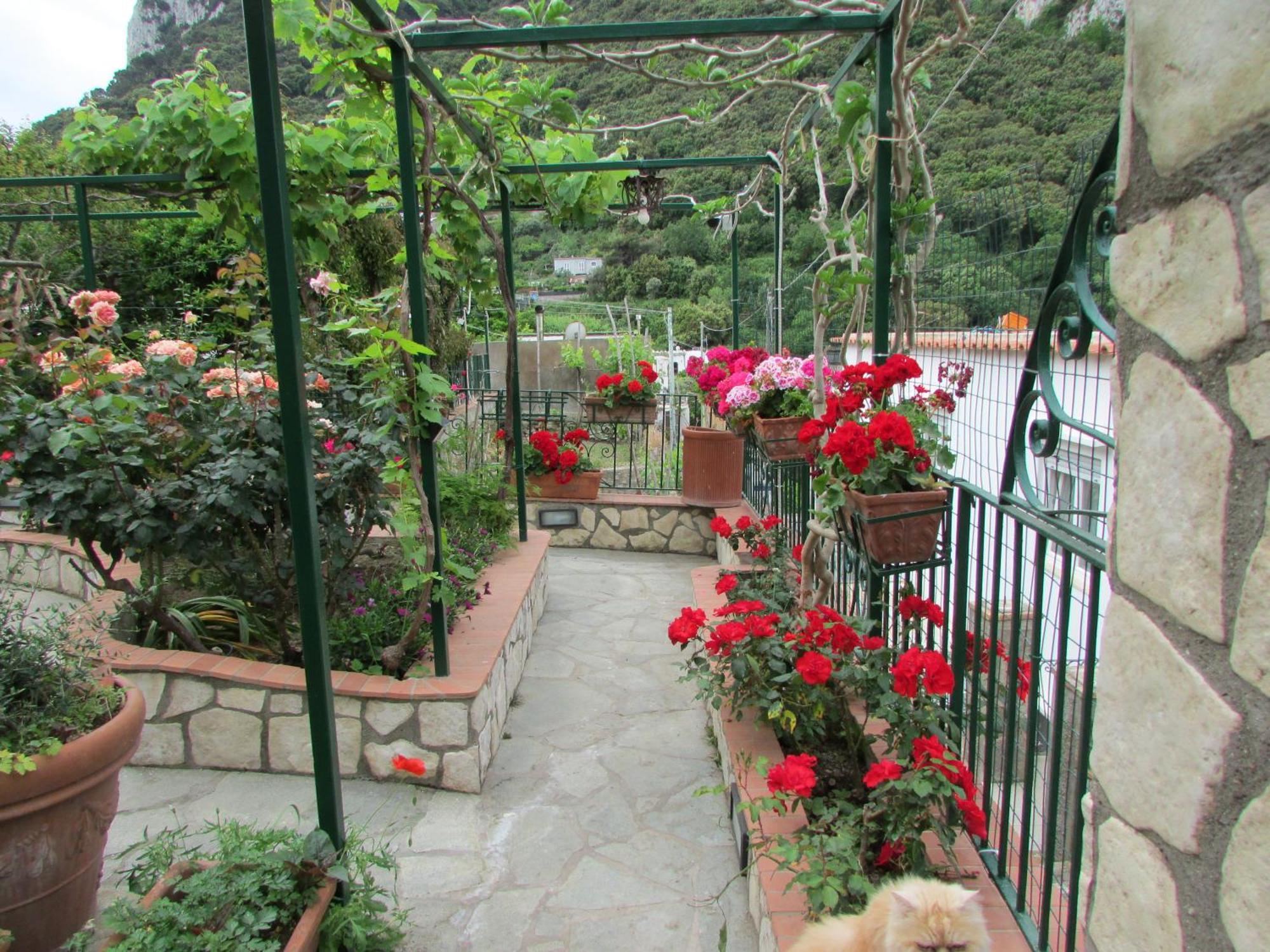 B&B Palazzo A Mare Capri Exteriör bild