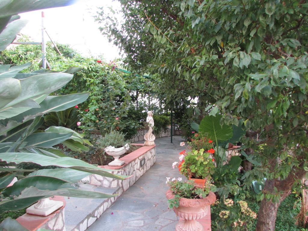 B&B Palazzo A Mare Capri Exteriör bild