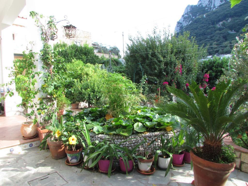 B&B Palazzo A Mare Capri Exteriör bild